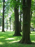 Bihac, 10.05.2008