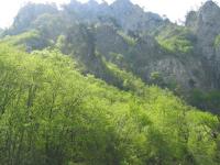 Sutjeska Nationalpark, 04.05.2008