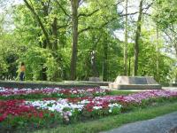 Bihac, 10.05.2008