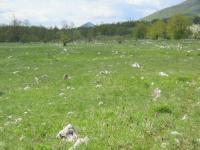 Kanton Una-Sana near Bihac, 10.05.2008